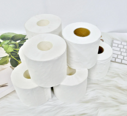 Toilet Papers Mix of 4 (Count of 27)