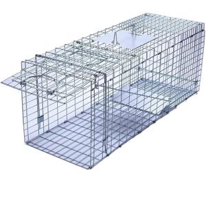Faicuk Large Collapsible Humane Live Animal Cage Trap for Raccoon, Opossum, Stray Cat, Rabbit, Groundhog and Armadillo 32 x 11 x 13 Inch