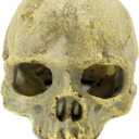 JIHAQUA Aquarium Resin Skull, Reptile Tank Accessories Ornament Basking Snake Hide Decor Habitat