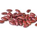 Bush Bean Red Kidney Bean Seeds