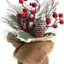 LOHASBEE Mini Christmas Tree, 10 Inch Small Table Top Portable Christmas Tree with Red Berries for Kid Gift Office Tabletop and Room Desktop Holiday Party Decorations