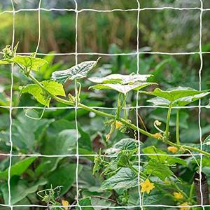 Tcamp Heavy-Duty Polyester Garden Trellis Netting Plant Climbing Net for Growing Vines Plants Vegetables Fruits Flowers, White Grow Tent (5Ft x15Ft, 3.5" Opening Mesh, 1 Pack)