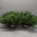 QIANYUN Fake Fern Outdoor Artificial Plants-2-Pack Artificial Outdoor Hanging Fern Faux Greenery UV Resistant Plastic Plants for Front Porch Living Room Garden Decor