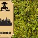 2 x Dried Forest Moss for Plants 5.3oz / 3qt, Green Orchid Sphagnum Moss, Long Fibered Dried Moss for Succulents Garden Flowers Pot and Reptiles