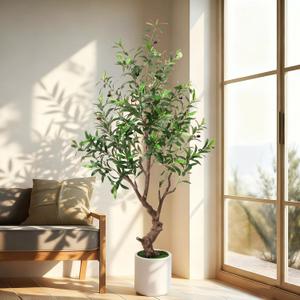 Faux Olive Tree 5ft with White Pot - Artificial Olive Tree with Lifelike Leaves & Fruits, Fake Plant Indoor for Home Decor, Living Room, Office - Silk Leaves, Sturdy Trunk, No Maintenance