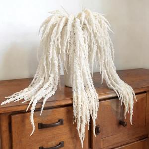 Suncalla 12 Pcs White Spring Natural Dried Amaranthus Hanging Flowers Amaranthus Artificial Flowers for Wedding Arch Bouquet Floral Garland Wall Home Decoration (23 Inch)