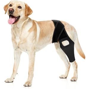 Jorme Dog Knee Brace for Torn ACL, Dog Leg Brace for PostSurgery Recovery, Arthritis & Luxating Patella,Side Stabilizers, Breathable Neoprene, Adjustable Velcro & Belly Band,Front/Rear Legs (L)