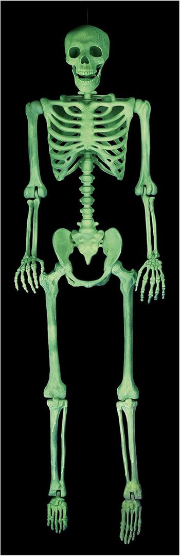 Crazy Bonez Pose-N-Stay Glow in The Dark Life Size 5 FT Skeleton with Realistic Posable and Movable Joints for Halloween Indoor and Outdoor Decoration