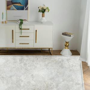 10x8 Washable Area Rug A Grey Paint Limestone Backdrop a White Light Seam Back Flat Subway Small Rugs for Bedroom Bedside Living Room Entryway Kitchen Non Slip Dining Room Throw Rugs Carpet Indoor (Multi1)