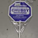 Imagine This S3862 Security Sign