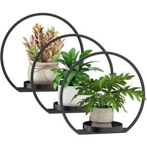 Wall Planters for Indoor Plants,Plant Frames Wall Decor Living Room Plant Stand Hanging Wall Plants Holder to Hold Large Pots Wall Plant Hanger Window Plant Shelves for Outdoor Entryway