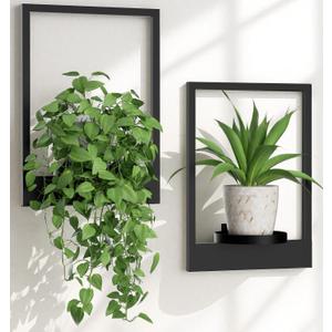 Wall Planters for Indoor Plants Wall Plant Holder Frame Plant Wall Hanger Window Plant Hanger for Livingroom Entryway Wall Decor (2 Psc)