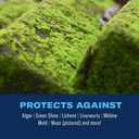 BioAdvanced 2-in-1 Moss and Algae Killer for Lawns, Moss Killer for Roofs, Patios, Decks, and Deck Cleaner, 32 oz (EXP 02/16/28)