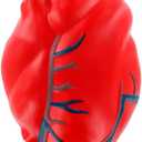 ARIEL Heart with Veins Stress Toy