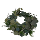 24 IN Eucalyptus Wreath