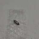 JEENDA Fuel Cut-off Injection Solenoid 7167-620B E8NN9D278AA Compatible with DPA DPS CAV LUCAS 7185-900W 9009-049 Ford 3930 4830 5610 7610 8240 New Holland 83981012