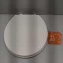 KOHLER K-4775-96 Brevia Round Toilet Seat with Quick-Release Hinges And Quick-Attach Hardware For Easy Clean, Biscuit