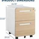 2 Drawer Mobile File Cabinet with Lock, Under Desk Metal Filing Cabinet
