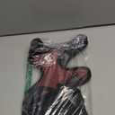 Littlearth NCAA Unisex NCAA Front Clip Pet Harness (Large, Florida State Seminoles)