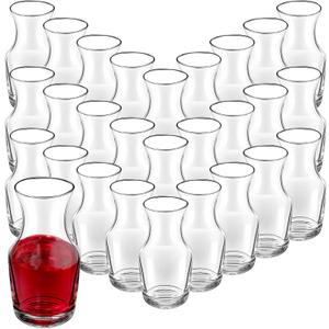28 Pcs 6.5 oz Single Serving Carafe Small Glass for Bars, Restaurants Carafe Individual Refill Decanter for Parties, Tastings