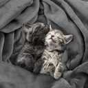 Utopia Bedding Fleece Blanket King Size Grey (90x102 Inches) Ultra Soft Warm Lightweight Microfiber Breathable Anti-Static Cozy Winter Bed Blanket, All-Season Home Decor Gift for Men & Women