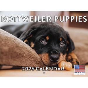 Rottweiler Puppy Calendar 2026 Wall 12 Month Monthly Rottie Puppies Rottweilers Gifts For Rottweiler Lovers Women Men Mom Dad | American Made In The USA