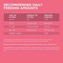 Purina ONE High Protein, Natural Dry Kitten Food, +Plus Healthy Kitten Formula - 7 lb. Bag (EXP 11/01/26)