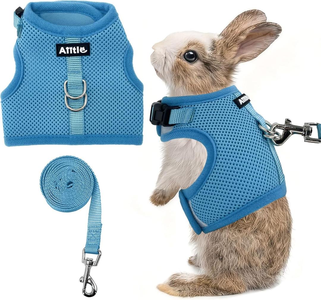 AIITLE Adjustable Rabbit and Leash Set - Lightweight & Portable, Padded Vest with Magic Tape Design, Indoor/Outdoor Use (Training, Hiking) - Fits Hamsters, Rats, Iguanas, Puppies, Cats, Blue M