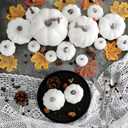 Ywlake 16 pcs Pumpkin Fall Decorations, Decorative Large Small Outdoor White Foam Plastic Fake Faux Artificial Pumpkins for Halloween Autumn Harvest Festival Home Table Decor