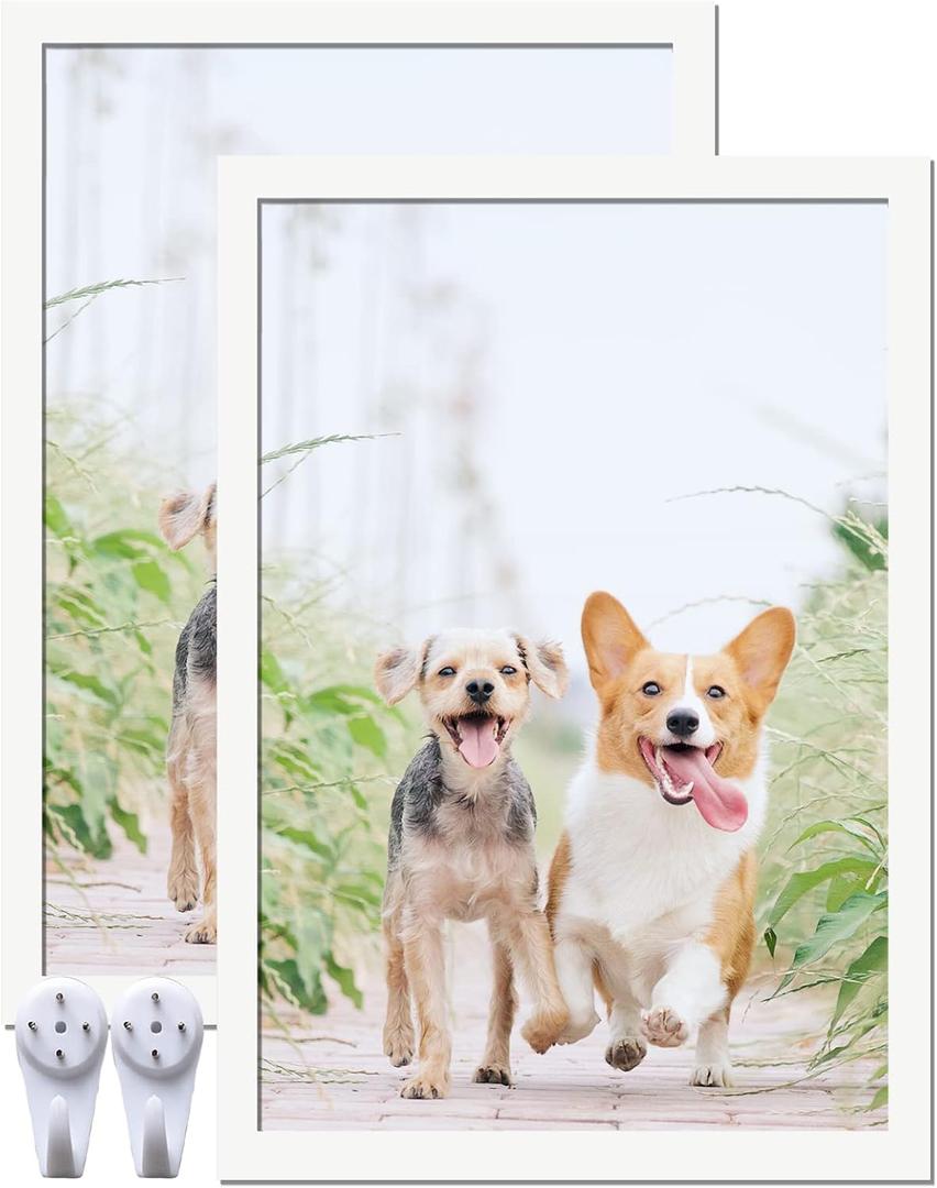 13x19 Picture Frame Set of 2, White Photo Frames High Transparent Wall Gallery Desktop Horizontal Vertical for Canvas Collage Photo Poster Certificate 13 x 19 inches