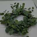 Eucalyptus Wreath 24in