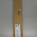 Real Eucalyptus Stems 20PCS Dried Preserved Fresh Eucalyptus Silver Dollar Leaves for Shower - Greenery Branches for Wedding Home Party Vase Filler Spring Decor (Green Style 02)