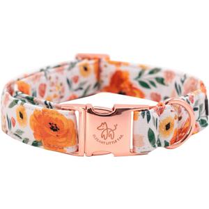 Elegant Little Tail Fall Dog Collar - Durable Orange Floral Dog Collar for Medium Dogs, Adjustable for Male or Female Pets - Perfect (Medium (Pack of 1))