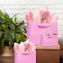 qiqee 10PCS Pink Gift Bags with Ribbon Handles Mulit Assorted Sizes Gift Wide Bags (2pcs Large 13", 4pcs Medium 9.6", 4pcs Small 6.3"22pcs Tissue Paper)
