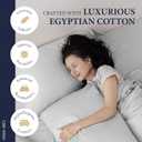 100% Egyptian Cotton Queen Size Sheets Set - Luxury 1200 Series Signature Collection Egyptian Cotton Sheet (4 PC, Light Grey), Soft Cooling, Sateen Weave, 17" Deep Pocket Hotel Bed Set