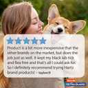 Hartz UltraGuard Dual Action Flea & Tick Topical Dog Treatment and Flea and Tick Prevention, 6 Months, 5-14 Pound Dogs 6-count(Pack of 1)