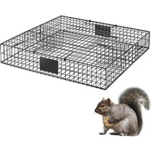 Squirrel Trap (No Bottom Tray) - Ideal for Chipmunks and Squirrels, Metal Construction, Holds up to 25 Squirrels