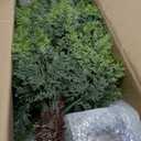 3FT Artificial Topiary Cedar Trees 2 Pack, UV-Resistant Outdoor Faux Pine Shrubs Plants, Realistic Fake Plants Front Porch Decor, Artificial Bushes Cypress for Home Front Door Offices