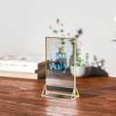 Acrylic Table Numbers Wedding 4x6 Vertical 4 Pack, Acrylic Table Card Holder Gold, Clear Menu Holder for Table Top, Restaurant Retail, Paper Holder, Photo Frame (4x6 - Vertical)