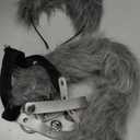 Cat Ears and Tail,Wolf Fox Ears Long Tail and Bell Lace Choker Set for Halloween,Animal Cosplay Party Costume (Grey)