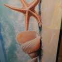 Lovira Beach Large Wall Art Starfish Shell Ocean Coastal Beachy Canvas Wall Decor Pictures Prints Painting Framed Modern Artwork for Living Room Bedroom Bathroom Office 30"x60"