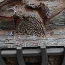 Electric Fireplace Logs Inserts Heater with Infrared Remote Controller 5 Flame Brightness 24 H Timer Overheating Protection for Home and Office Decor Black