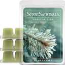 Scentsationals Vanilla Pine Scented Wax Melts - Balsam, Herbs & Vanilla, 10oz (24 Cubes)