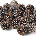 Snow-Dusted Pine Cone Decorations with Ribbon - 27 Pack Hand-Dipped White-Tipped Natural Pine Cones for Christmas Tree Ornaments, Crafting, and Holiday Centerpieces