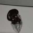 VAVANGA Curly Bangs Hair Clip Real Human Hair Kinky-Curly Ins Bangs French Bang Dark Brown Wavy Curl Fringe Wispy Bang Hair Piece Extension for Women