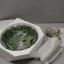 Pendant Lights Kitchen Island,Green Glass Vintage Light Fixtures,9.8inch E26 Adjustable Hanging Light Flower Finish Ceiling Hanging Lamp for Bedroom Living Room Hallway 1 Light (Hardwired 1 pack)