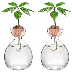 2PCS Avocado Vase Grow Glass Bulb Vases Acorn Seed Starter Vase Avocados Pit Planter Pot for Gardening Lover Indoor Hydroponics