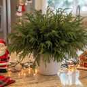 MISSPIN 12 Pcs 19.5 Inches Christmas Norfolk Pine Branches, Norfolk Pine Artificial Christmas Branches DIY Crafts Faux Pine Branches for Xmas Indoor Outdoor Home Decor