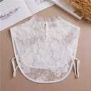 Fake Collar Detachable Dickey Collar Blouse Half Shirts Lace False Collars for Women Girls (One Size, A1-white)