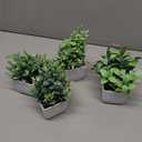 Der Rose 4 Pack Fake Plants Mini Artificial Greenery Potted Plants for Home Decor Indoor Office Table Room Farmhouse Bathroom Decor
